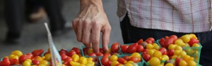 Santa Monica Farmers Markets logo