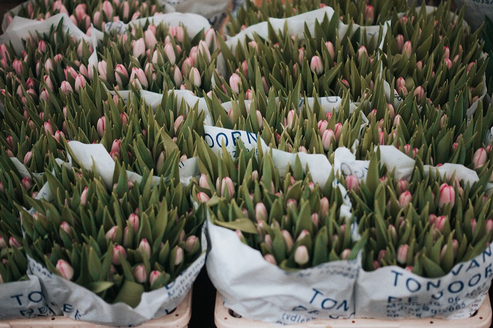 Food — representative image
