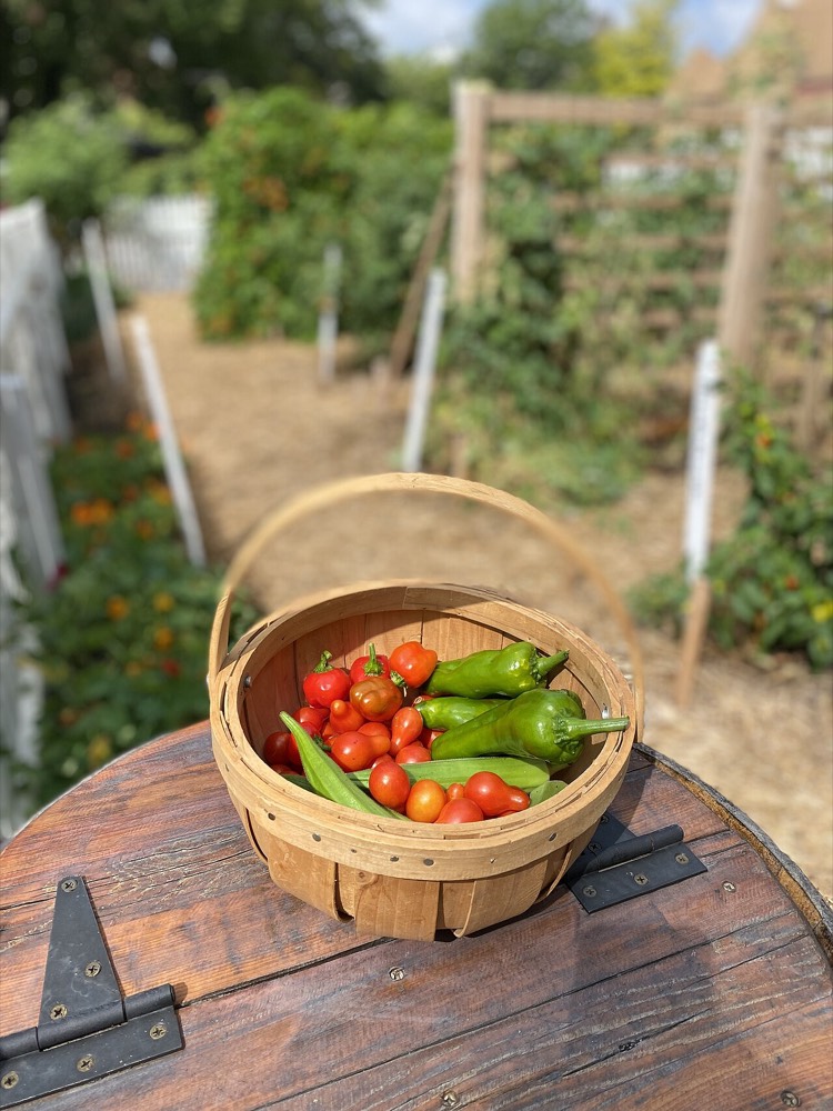Food — representative image